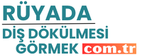 ruyadadisdokulmesigormek.com.tr